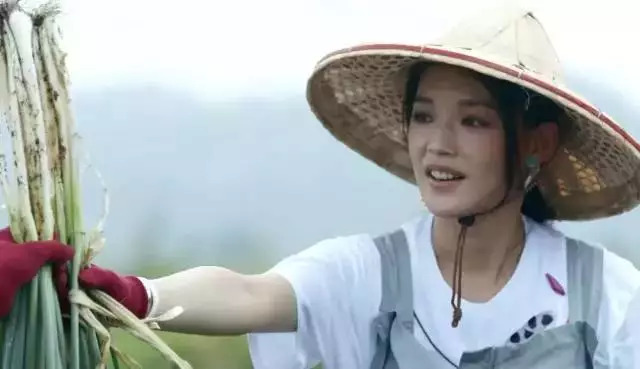 舒淇吃面,舒淇吃三大碗面