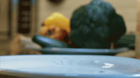 舒淇吃意面,舒淇中餐厅2完整版