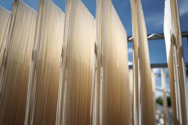 中餐厅2舒淇吃饭视频,舒淇吃面条