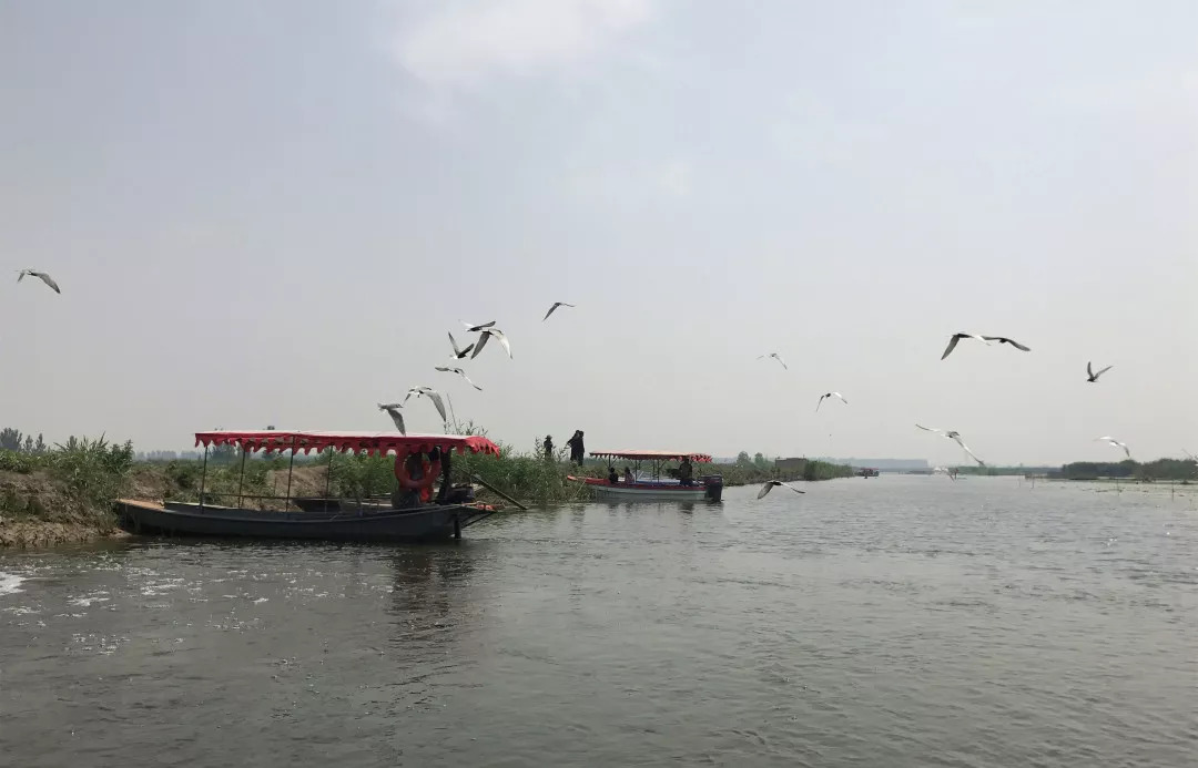 下站该往哪里去,下站了该去哪