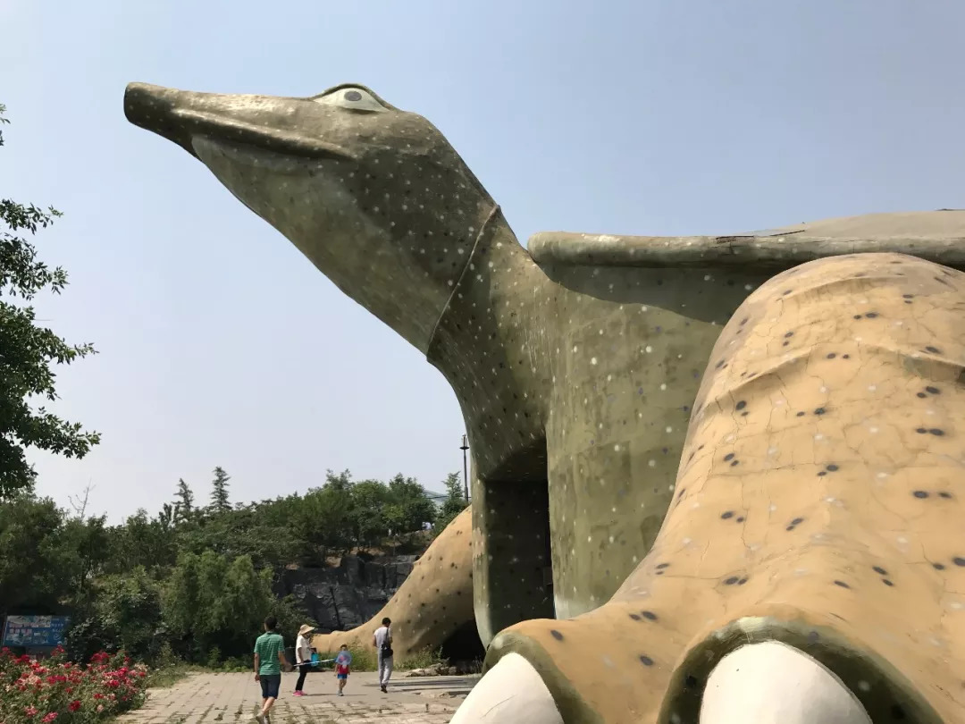 下站该往哪里去,下站了该去哪