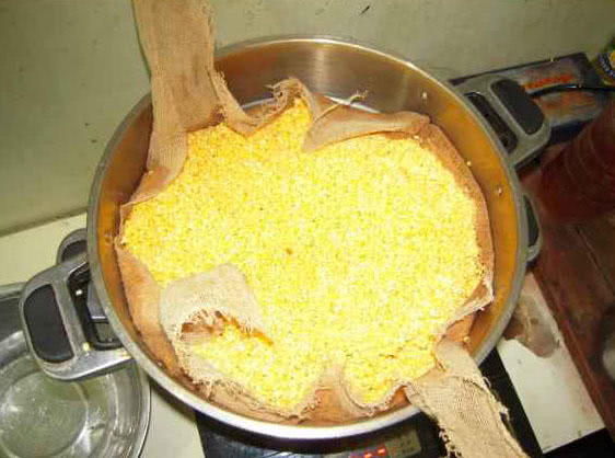 钓鲤鱼新鲜玉米好还是发酵玉米好,钓鲤鱼挂玉米粒的正确方法视频