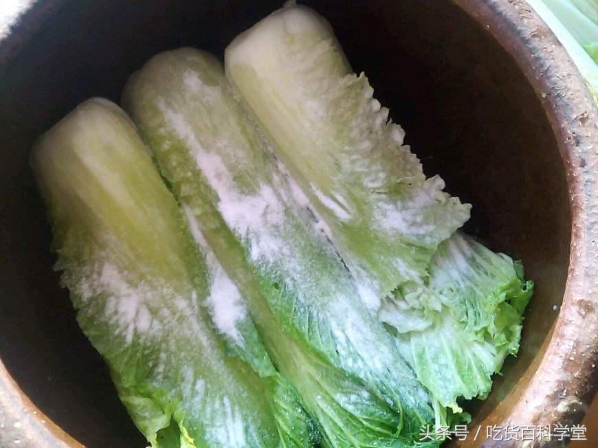 老妈腌的酸菜最下饭,老妈做法酸菜