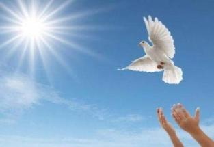 放生和不杀生也是布施吗,放生还是投食