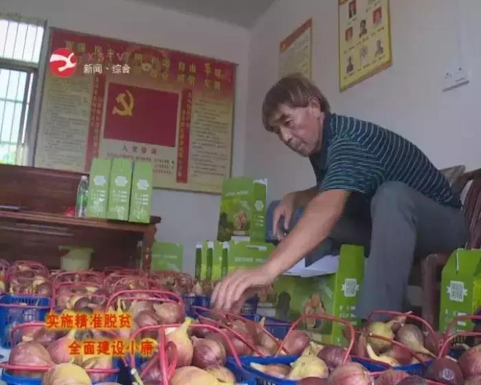 天岳幕阜山景区,天岳幕阜山开发