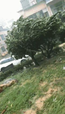 山竹现在情况怎么样,山竹最新消息东莞