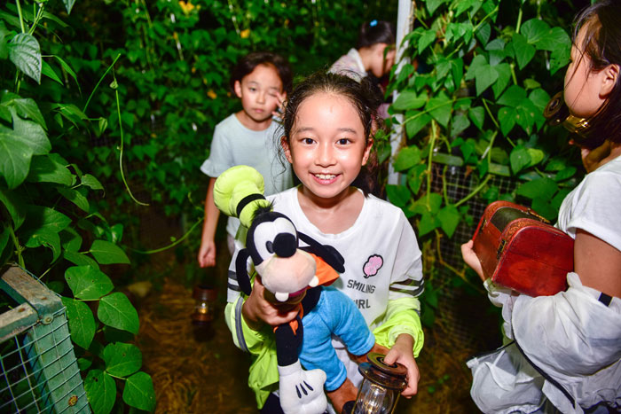 夏令营主题活动方案,夏令营活动主题图片