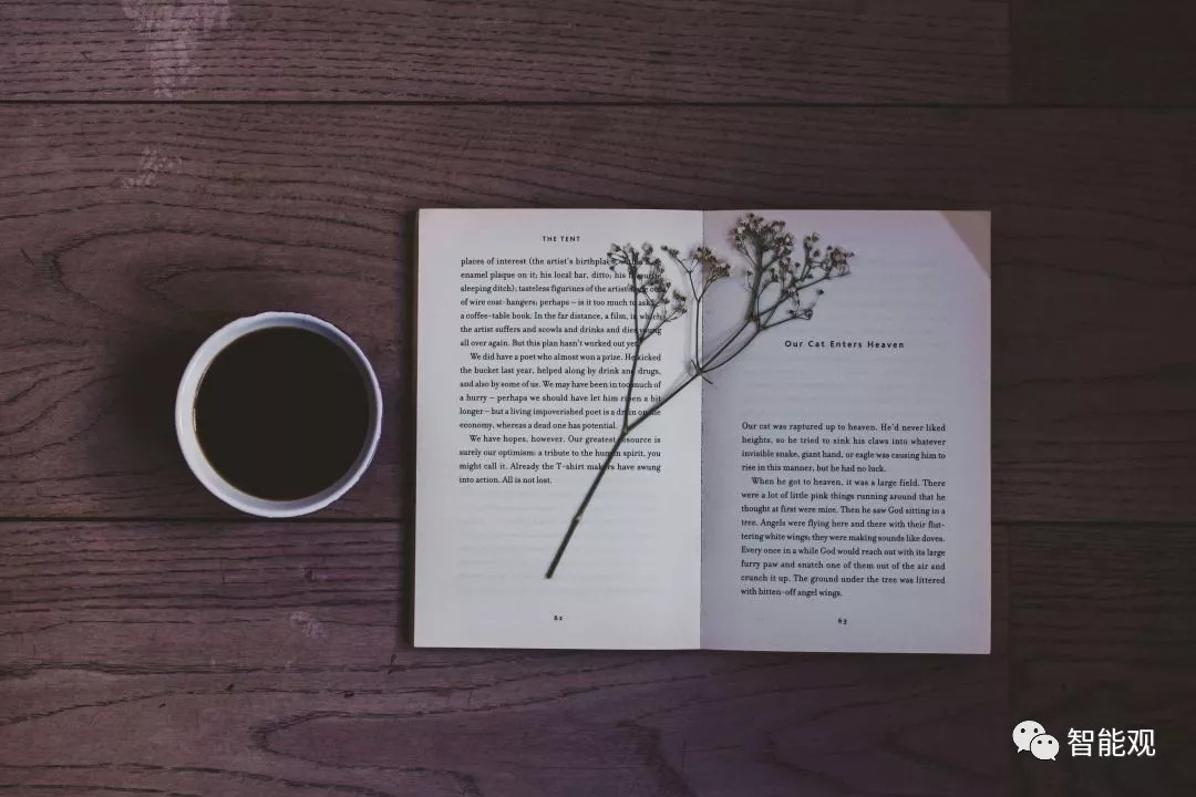 为什么学文学是很苦的,学人文社科能干什么