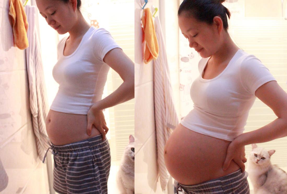 孕前子宫重量,孕期子宫体积增大160倍