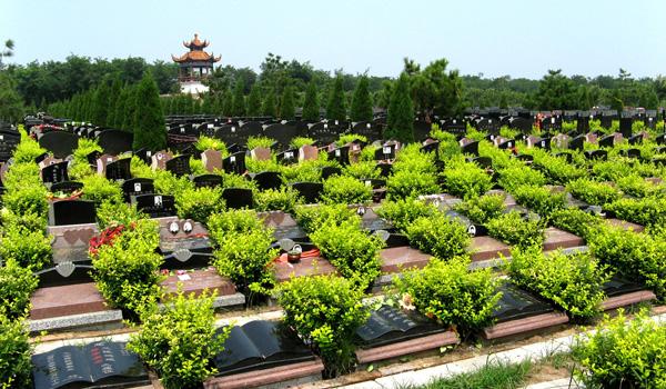 阜阳城市公益性公墓,阜阳农村公墓有哪些