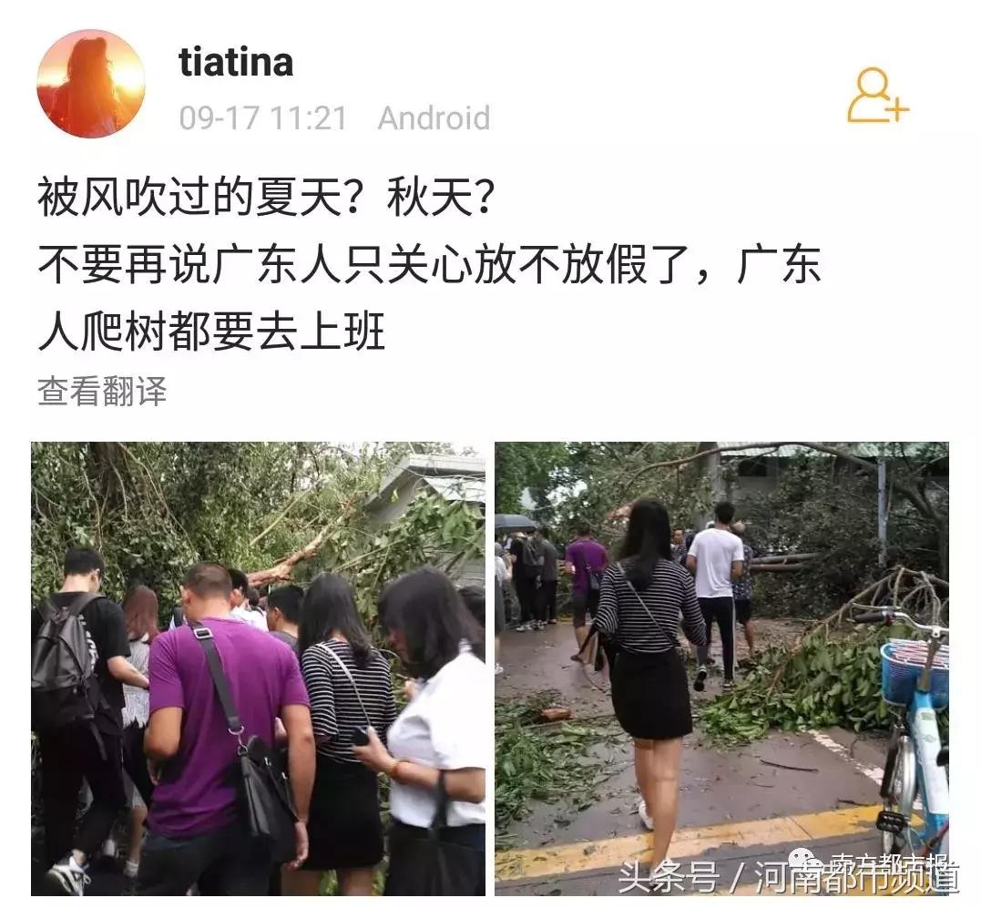 “山竹”过后首个工作日：广东人爬树都要去上班！