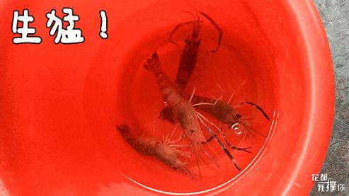 花都三东钓虾场,周末想去海边玩去哪里