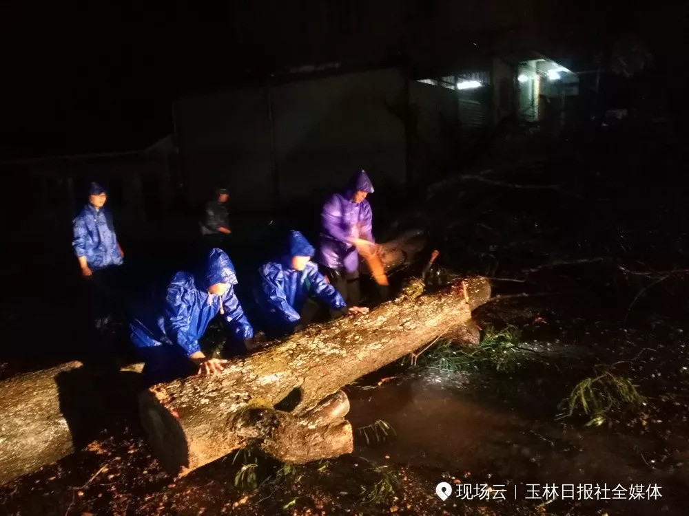 2018年感动瞬间合集,2018年感人瞬间