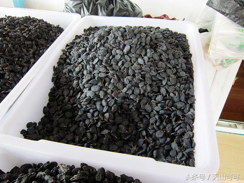 霍尔果斯口岸什么生意多,霍尔果斯边境口岸可以做什么生意