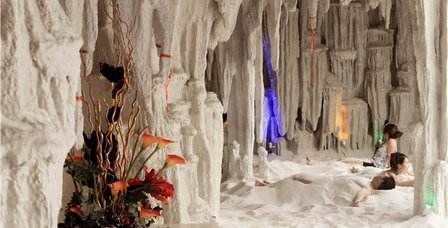 娓╂硥姘寸枟涓績娲诲姩,娓╂硥姘寸枟涓績绮惧僵娲诲姩