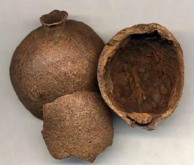 她被称作“天浆之果”，这样吃才对