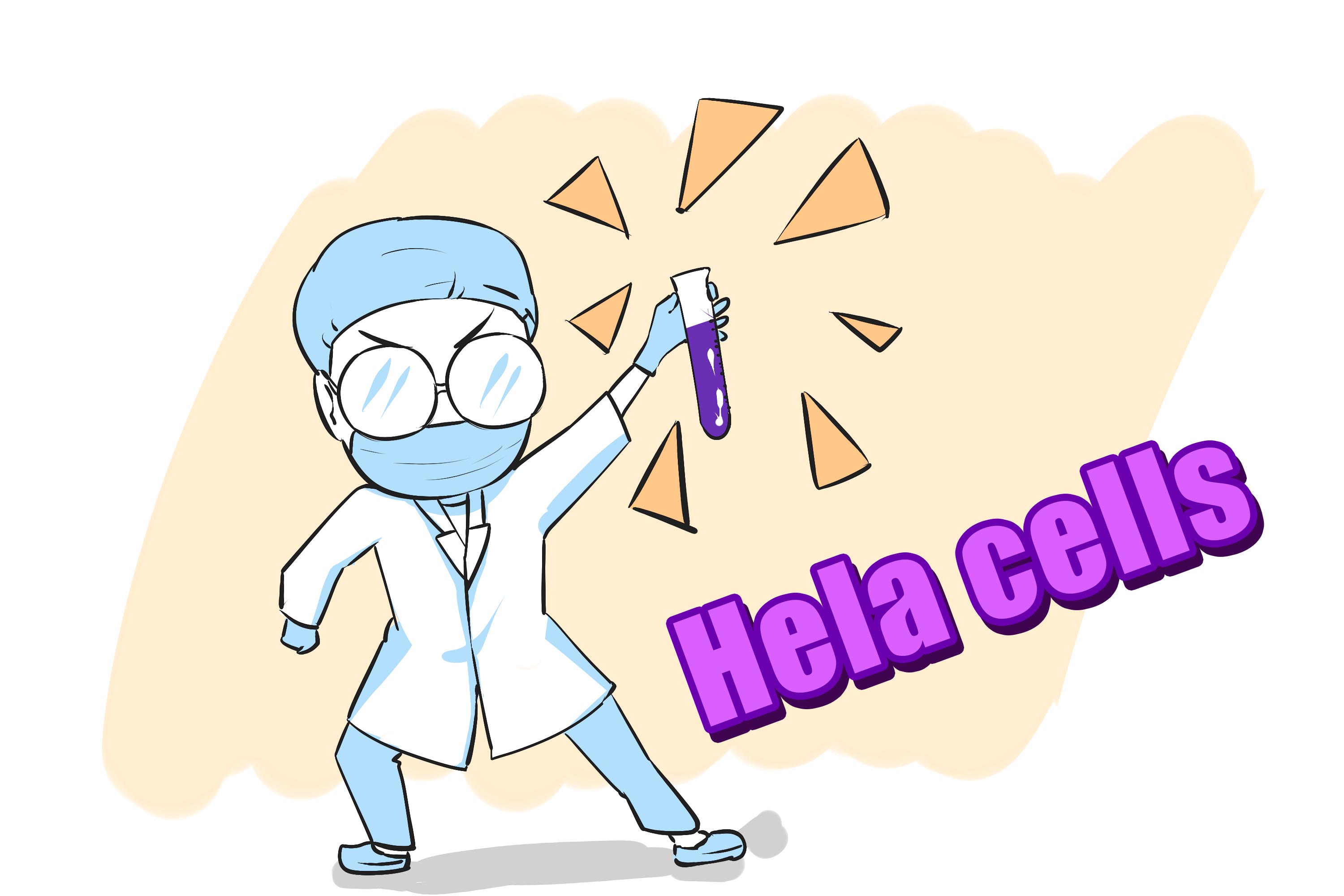 海拉细胞永生人现状,海拉细胞可以使人类永生吗