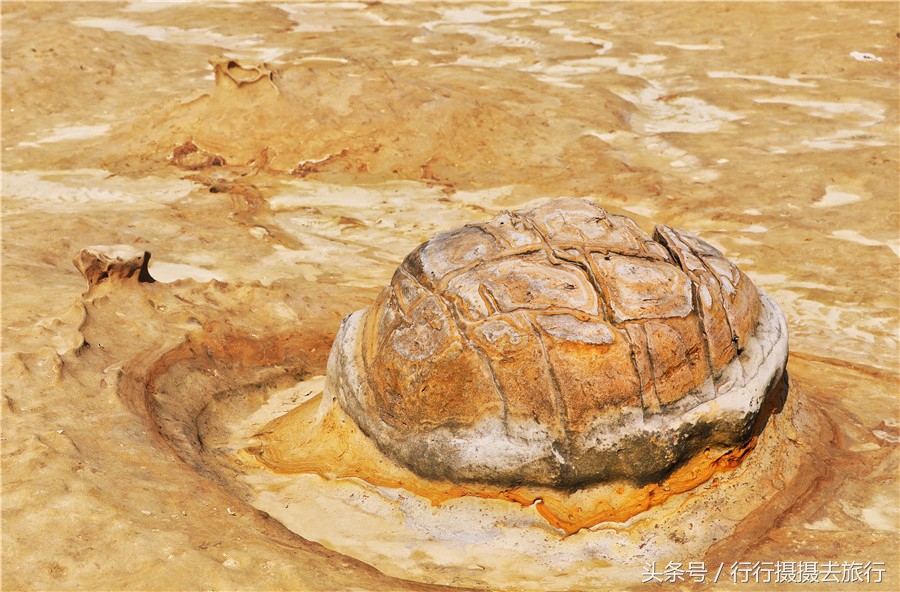 淡水老街图文,台湾老街野柳公园