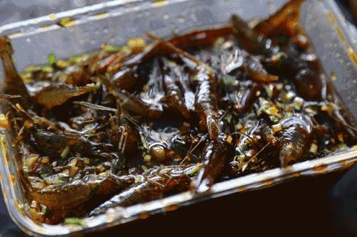 苏州旅游美食住宿攻略推荐,苏州美食攻略本地人推荐老店