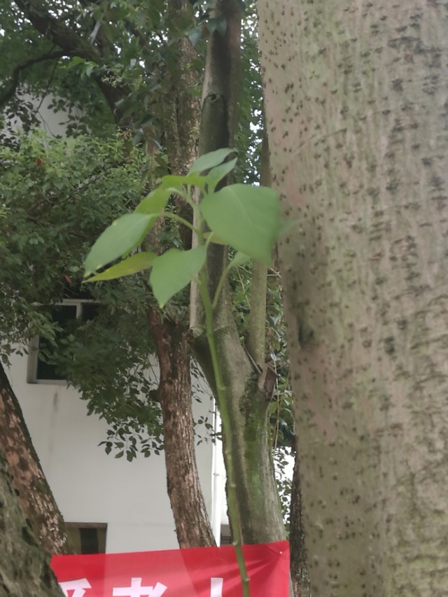 把关爱传递给你最关心的人,对老人最好的关爱是陪伴