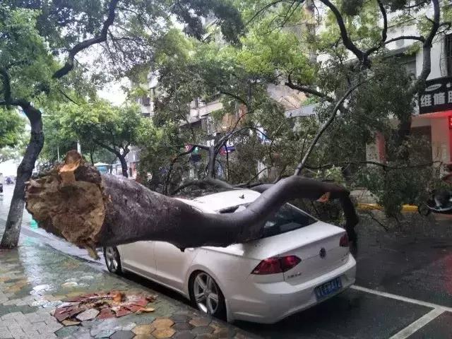 车被水泡了涉水险理赔吗,买了全险被水泡了会理赔吗