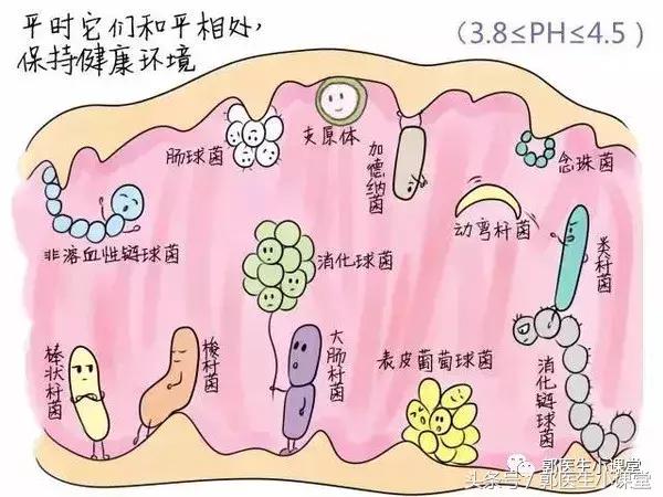 注意这些生活细节，帮你远离妇科炎症