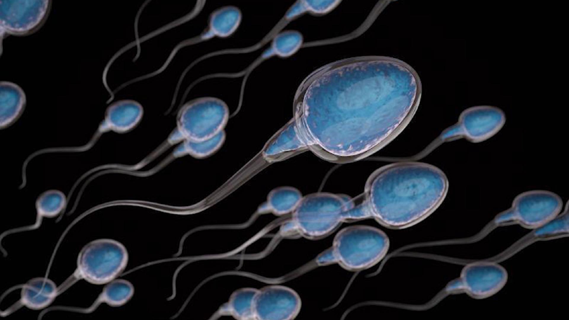 精子质量好不好看什么,精子好不好