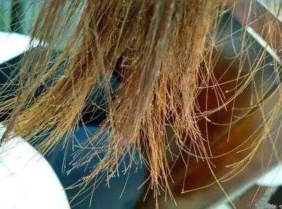 劣质化妆品对身体有什么伤害,劣质化妆品的危害视频