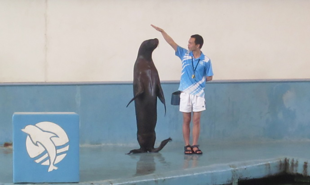 广州海洋馆和正佳海洋馆哪个好,广州比较好玩的海洋馆推荐