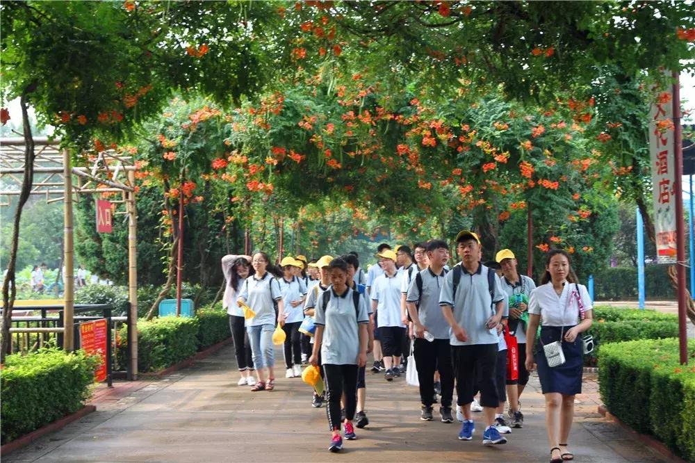 潍坊金宝乐园2022年初一免费吗,2010年潍坊金宝乐园快乐向前冲