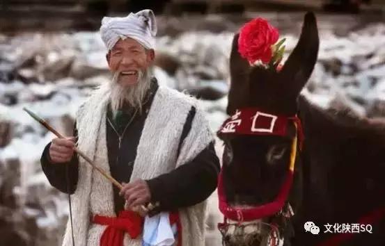 谈对陕西人的看法,外省怎么评价陕西人