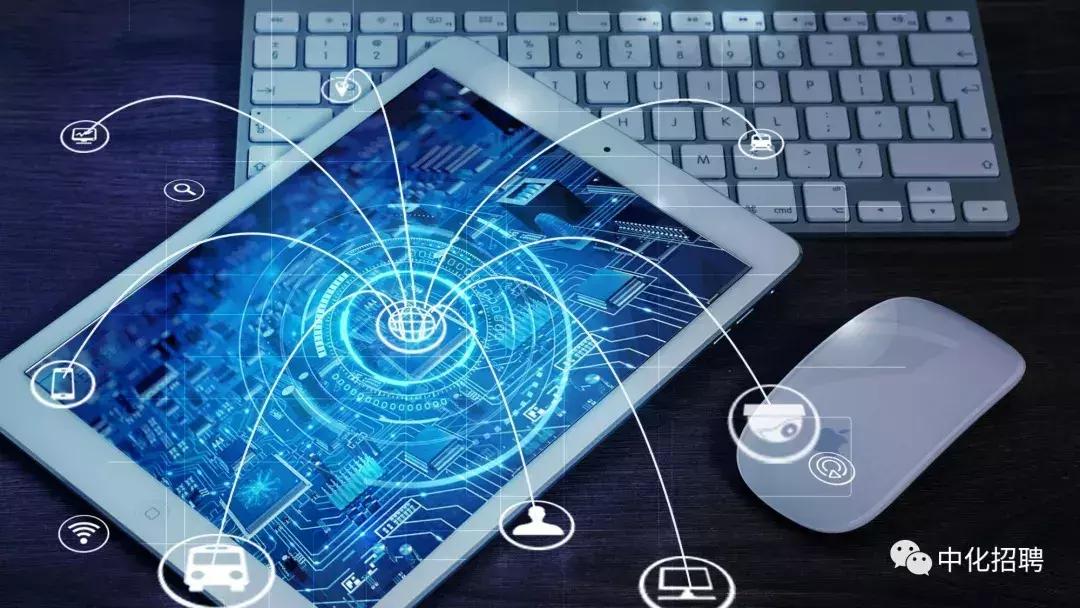 中化控股集团有限公司2024招聘,中国中化集团校园招聘1901人公告