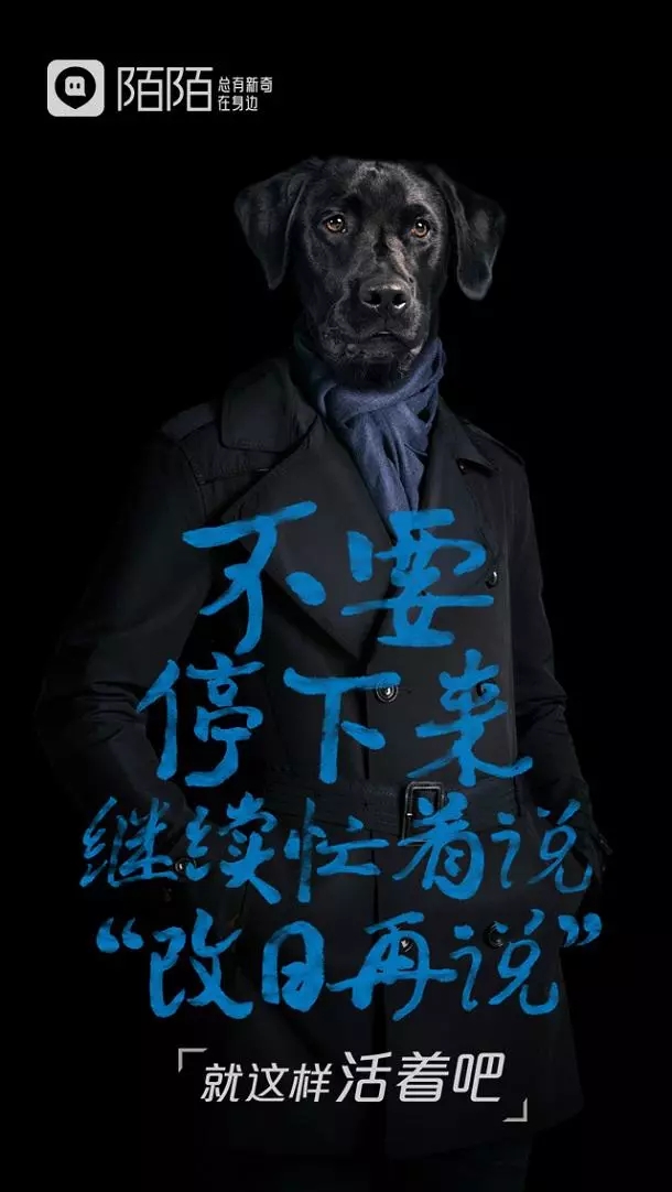 世界公认500强文案,世界文案500强