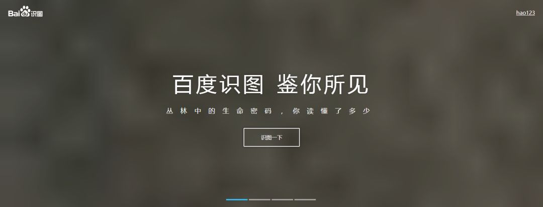 运营人必备的7大实用工具,抖音运营常用必备工具网站