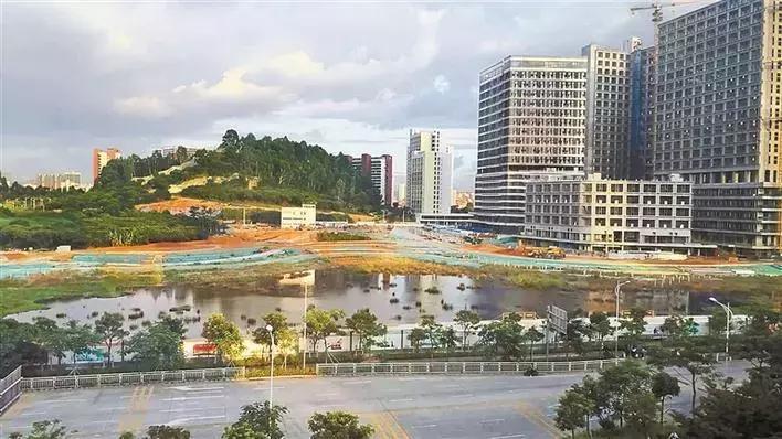 光明钟表,光明钟表基地时间谷