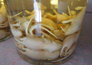 世界各地奇葩食物排名,世界奇葩美食视频