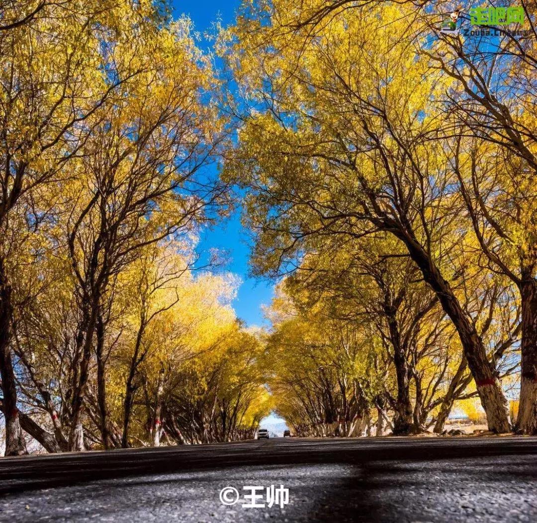 跟着大咖体验南疆最经典路线，玄奘东归路、沙漠胡杨、民俗风情！