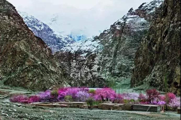 跟着大咖体验南疆最经典路线，玄奘东归路、沙漠胡杨、民俗风情！