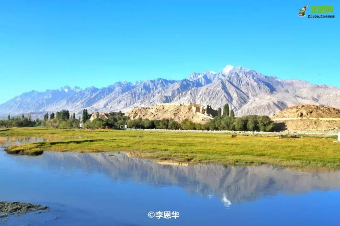 跟着大咖体验南疆最经典路线，玄奘东归路、沙漠胡杨、民俗风情！