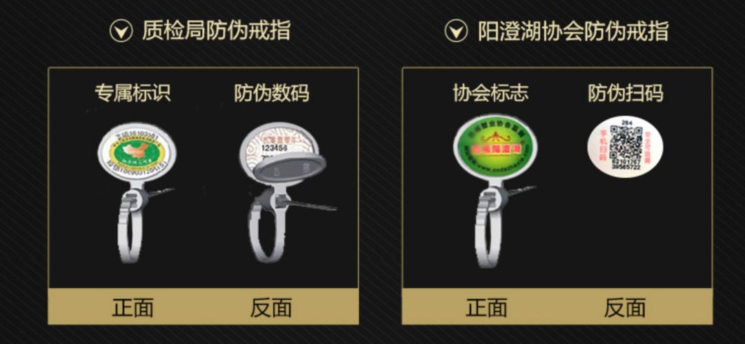 正宗阳澄湖大闸蟹正式开捕啦,2018年阳澄湖大闸蟹开捕