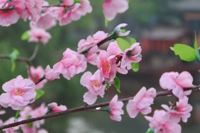 尼康j5放到现在是否过时,尼康j5缺点