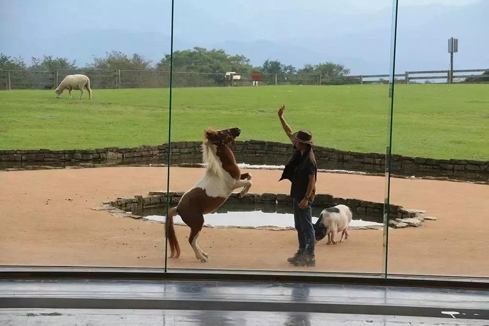 亲子牧场推荐,亲子牧场有哪些