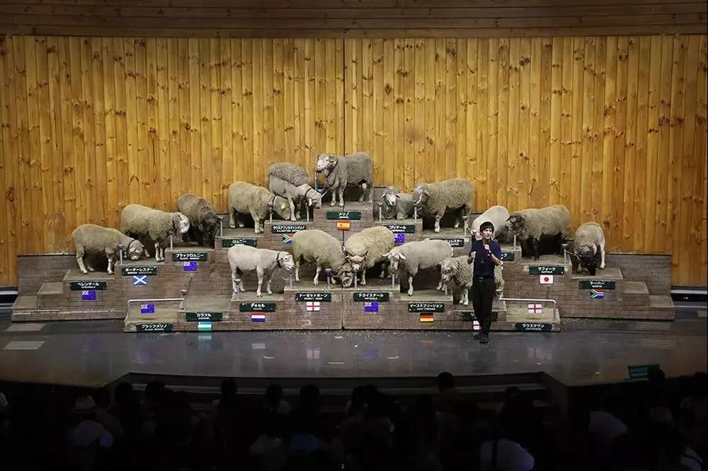 亲子牧场推荐,亲子牧场有哪些