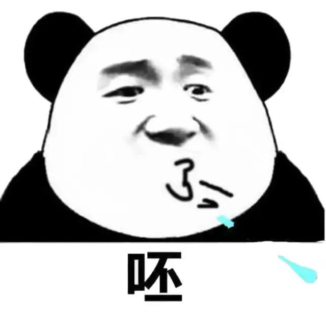 进口猫狗粮最新消息,常见进口猫狗粮品牌有哪些