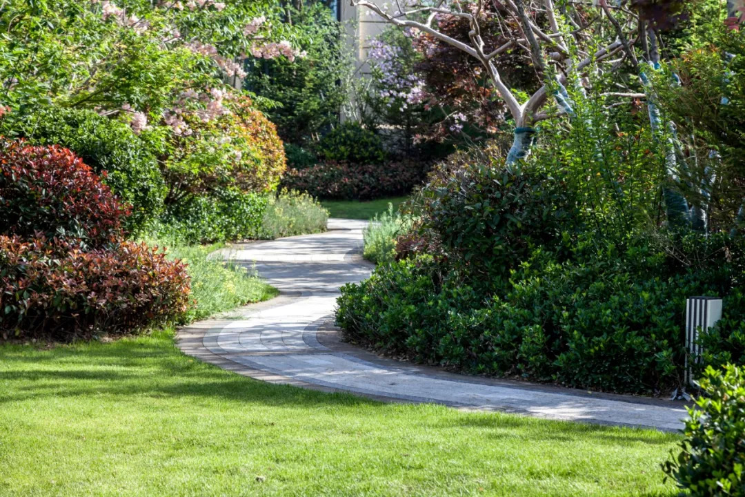 青岛樾府样板,美尚奖