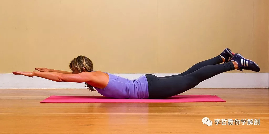 在天愿作比翼鸟任务,在天愿作比翼鸟运用了什么手法