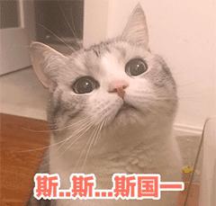 鸡冻僵复活,鸡冻了能救活吗