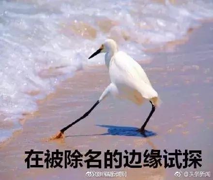 台风山竹的名字会被除名吗,山竹台风被除名