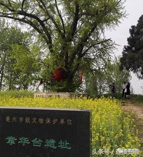 安徽最年轻的地级市是亳州吗,中国最年轻的地级市亳州