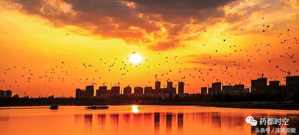 亳州市十八岁的照片,安徽亳州地级市排行